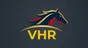 Virtual Horse Racing